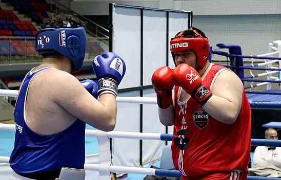 Türkiye Boks Şampiyonası sona erdi