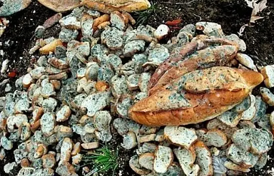 Türkiye'de 18,1 milyon ton gıda israf ediliyor