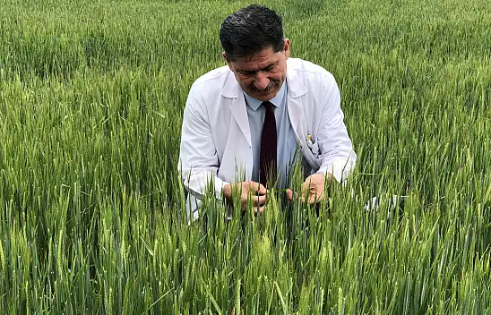 Türkiye'de tarımsal kuraklık riski yok