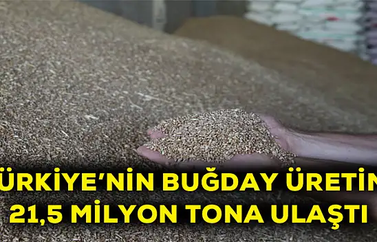 Türkiye'nin buğday üretimi 21,5 milyon tona ulaştı