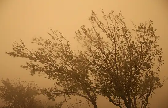 Türkiye'nin o ili toza teslim oldu: Görüntüler şok edici!