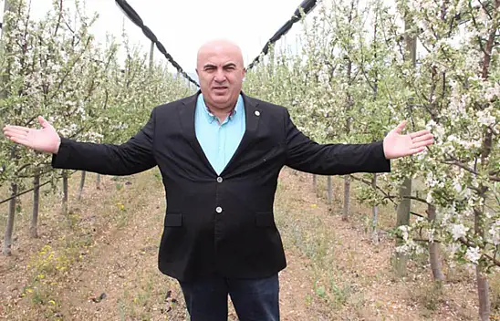 Türkiye'nin o ilinde elma ağaçları aynı anda çiçek açtı