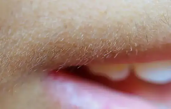 Üst dudak kılları kabus olmaktan çıkıyor! Kadınların bilmesi gereken güzellik bakım sırrı