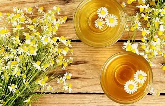 Uzman İsim açıkladı! Bu çaylar Depresyona çok İyi Geliyor…