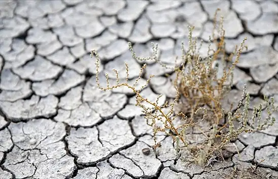 Uzman isim uyardı. Türkiye çölleşme riski ile karşı karşıya
