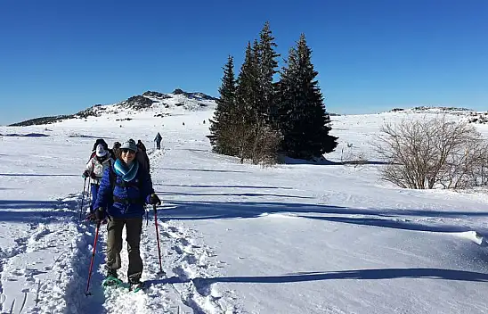 Vitosha Dağı: Bulgaristan'ın Doğa Harikası