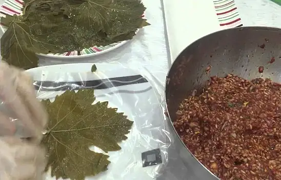 Yanlış yapıyorsunuz, hemen uzak durun! Yaprak sarması diye zehir yemeyin...