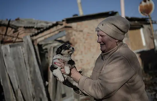 Yaşlı çift savaş bölgesindeki 65 hayvana kucak açtı!