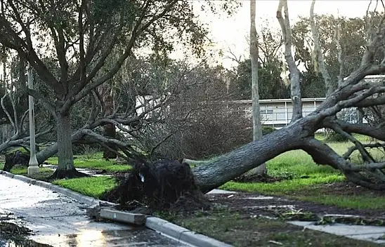 Yeni Zelanda, 941 milyon NZD bütçe ayıracak