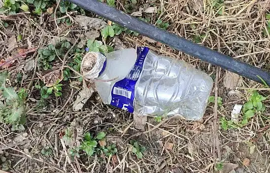 Yolculara aldırış etmedi, uyuşturucu madde kullandı