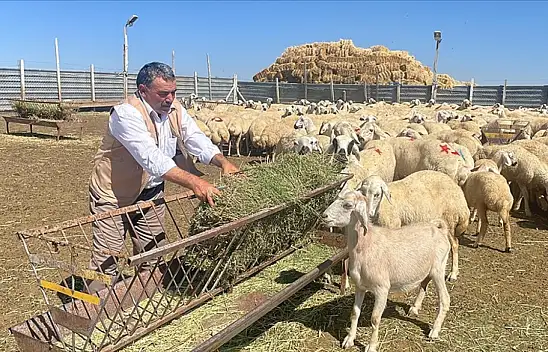 Yozgat'ta Çadır ağıl projesiyle küçükbaş hayvan sayısının çoğaltılması amaçlanıyor