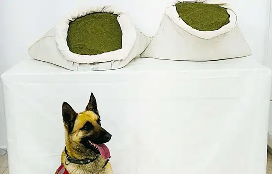 Zehir tacirlerine büyük darbe: 45 kilogram uyuşturucu madde ele geçirildi