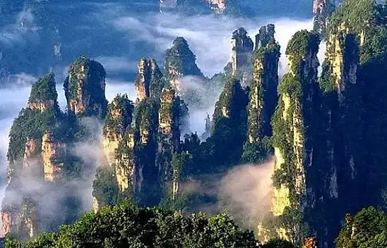 Zhangjiajie Ulusal Orman Parkı: Doğa harikası bir destinasyon