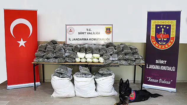 170 kilogram esrar ele geçirildi