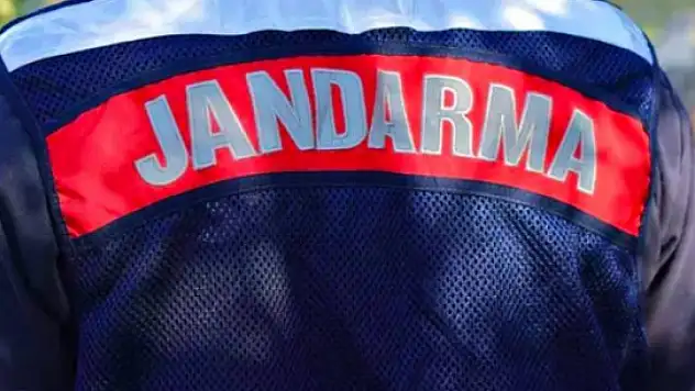 2 yaşındaki kız çocuğu kayboldu: Her yerde aranıyor!