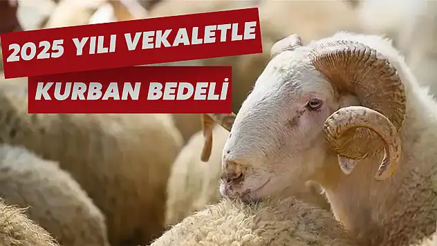 2025 Kurbanlık fiyatları: 2025 yılı vekalet yoluyla kurban kesim bedeli açıklandı!