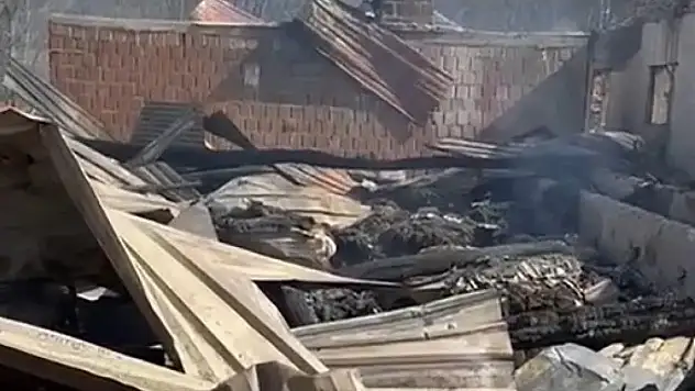 21 büyükbaş hayvan telef oldu