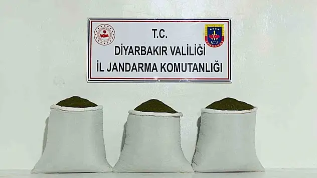 230 kilo toz esrar ele geçirildi