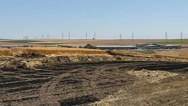 340 dekar buğday ekili alan alev aldı