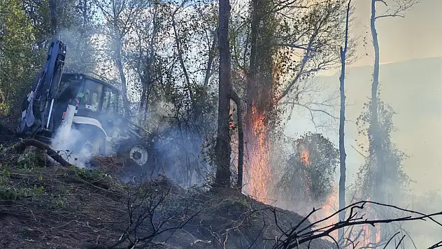 5 hektarlık alanın zarar gördüğü yangını söndürme çalışmaları devam ediyor!