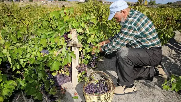 58 yıllık eşine her doğum gününde aynı hediyeyi veriyor! Nedeni ise yürekleri ısıttı