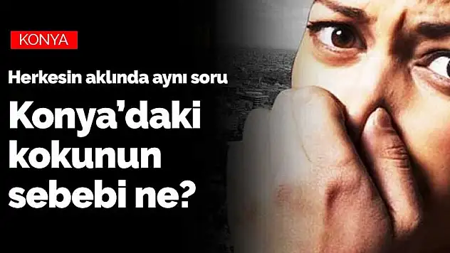 Konya'da her yıl ortaya çıkan koku yine hortladı! Konya ne kokuyor? Kokunun kaynağı ne?