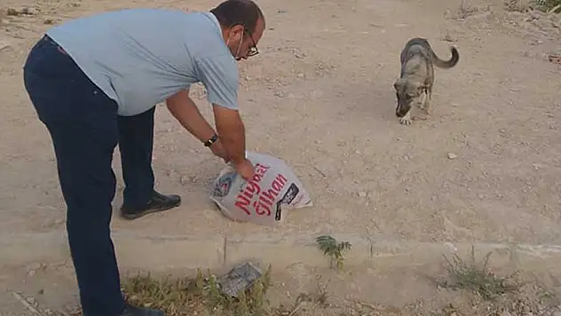 Lütfi Şahin sokak hayvanları için kampanya başlattı