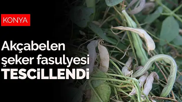 Konya'nın Akçabelen şeker fasulyesi tescil belgesi aldı