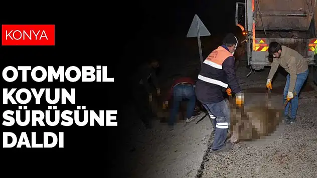Konya'da otomobil yola çıkan koyun sürüsüne daldı