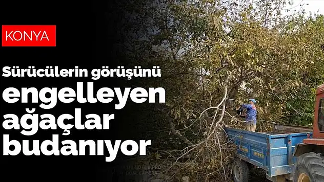 Konya'nın Hüyük ilçesinde sürücülerin görüşünü engelleyen ağaçlar budanıyor