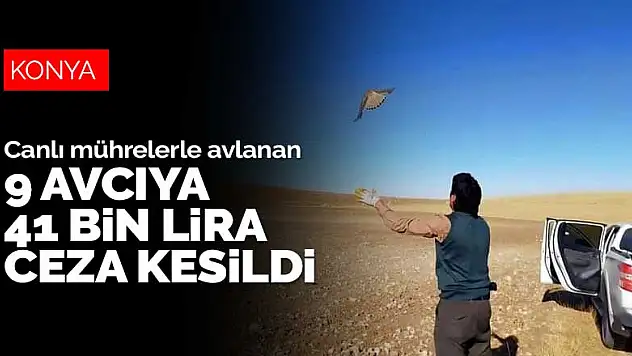 Konya'da canlı mührelerle avlanan 9 kişiye 41 bin lira ceza