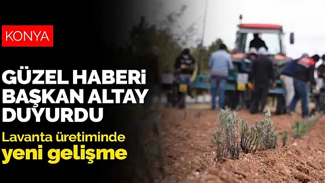 Konya'da lavanta üretiminde yeni gelişmeler yaşanıyor! Başkan Altay güzel haberi duyurdu