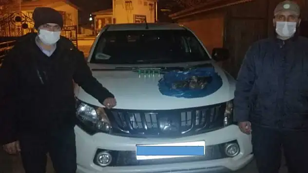 Konya'da yasa dışı ördek avına ceza