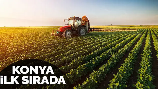 Konya tarım ve ormancılık sektöründe 81 il içinde ilk sırada yer aldı