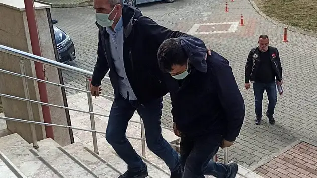 Konya polisinden bonzai operasyonu