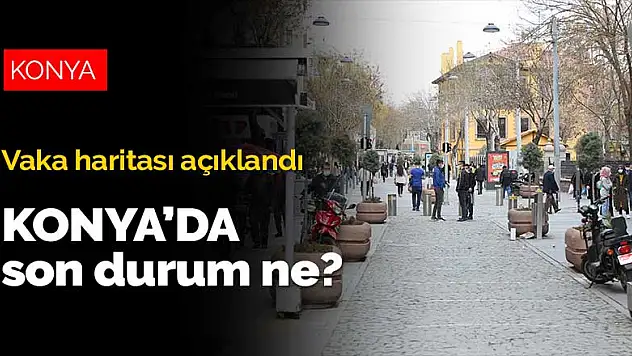 10-16 Nisan vaka haritası açıklandı! Konya'da son durum ne?