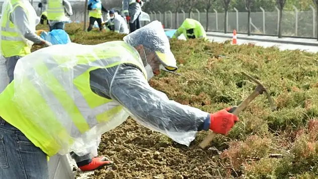 Ankara'da Konya yolunda peyzaj çalışmaları devam ediyor