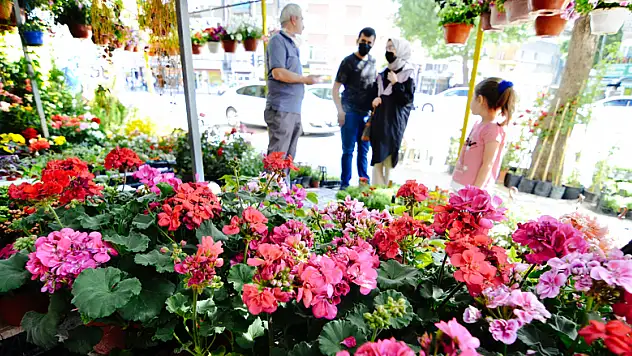 Konya'da çiçekçilerde bahar dönemi yoğunluğu yaşanıyor