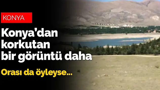 Kuraklık Konya'nın en sulak bölgelerini de tehdit eder hale geldi