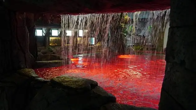 Keçiören Deniz Dünyası'ndaki yenileme çalışmaları tamamlandı! Artık dokunma havuzu da var