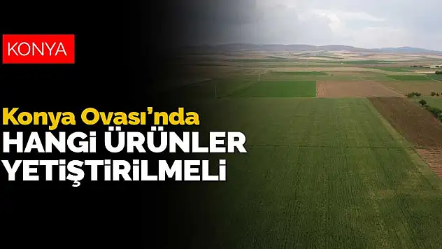 Obruk sayısı 1080'e ulaştı! Konya Ovası'nda hangi ürün yetiştirilmeli?