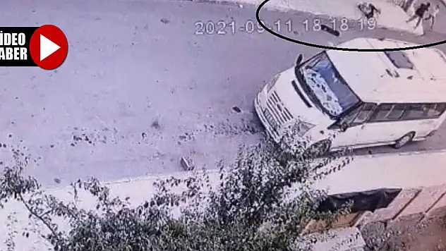 Pitbull dehşeti! Çocuğu hastanelik etti