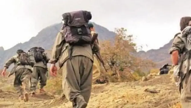 PKK'da çözülme devam ediyor, 1 örgüt mensubu daha ikna yoluyla teslim oldu