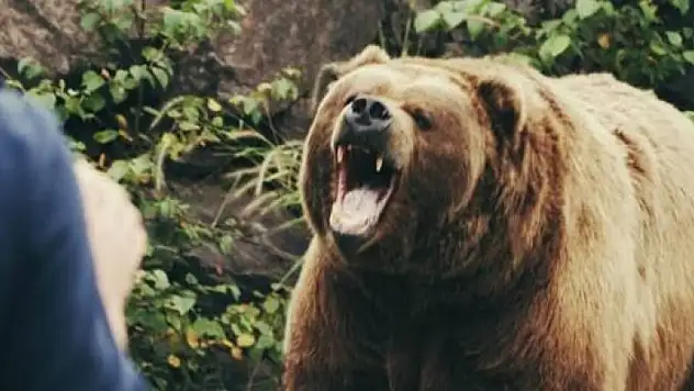 Hayvanat bahçesi çalışanının feci ölümü!