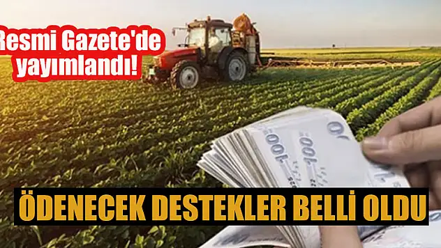 Resmi Gazete'de yayımlandı! Ödenecek destekler belli oldu