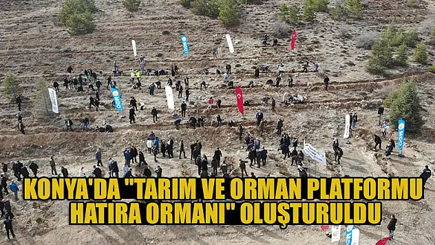 Konya'da 'Tarım ve Orman Platformu Hatıra Ormanı' oluşturuldu