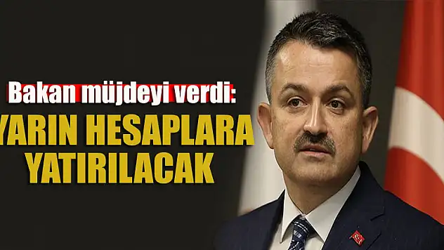 Bakan müjdeyi verdi: Yarın hesaplara yatırılacak