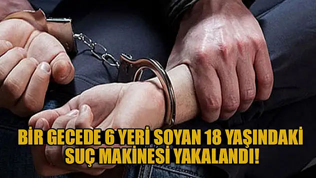 Bir gecede 6 yeri soyan 18 yaşındaki suç makinesi yakalandı