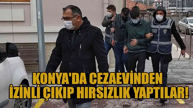 Konya'da cezaevinden izinli çıkıp hırszılık yaptılar!