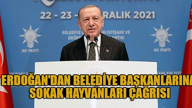Cumhurbaşkanı Erdoğan'dan belediye başkanlarına sokak hayvanları çağrısı